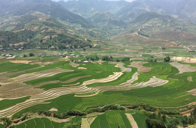 hien_vu_photograph.jpg